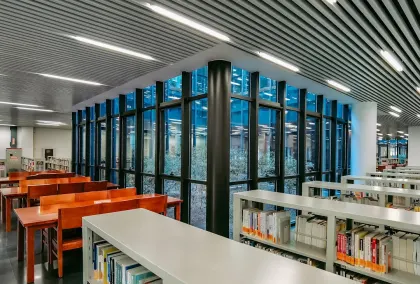 Casino Lion Wins Mobil App